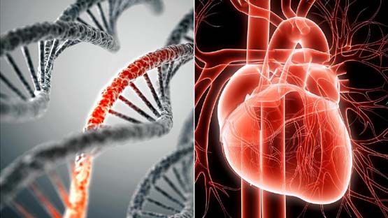 Insufficienza Cardiaca Da Siero mRNA "Colpirà La Maggior Parte Delle Persone" - Database Italia