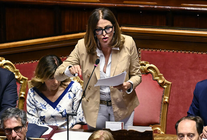 L'intervento di Santanchè in Senato: "Mai avuto avvisi di garanzia, in atto una campagna d'odio" - Politica - ANSA