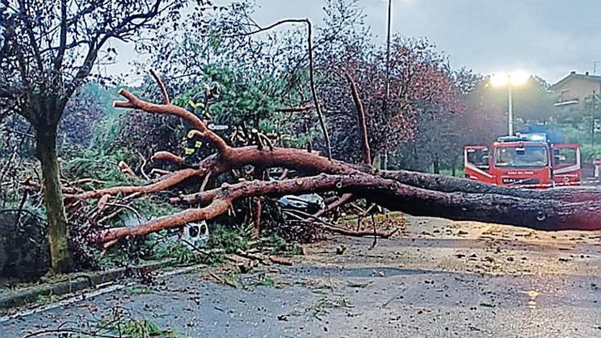 «Clima, non c’è emergenza»: chi sono i prof dell’Università di Padova che hanno firmato il documento eco-scettico - Il Mattino di Padova