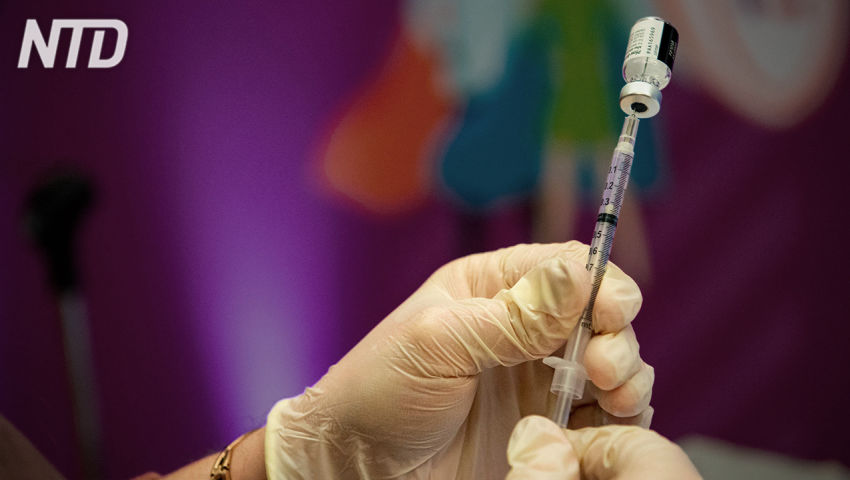 Dittatura sanitaria e profitto, il business dei vaccini e la commistione pubblico e privato - PeerTube.it