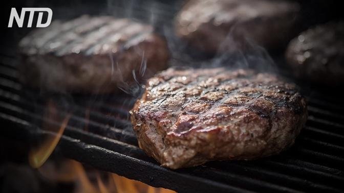 Usa, il governo federale approva la vendita di carne sintetica. Europa, l’Italia la vieta | Video | NTD Italia | Gan Jing World