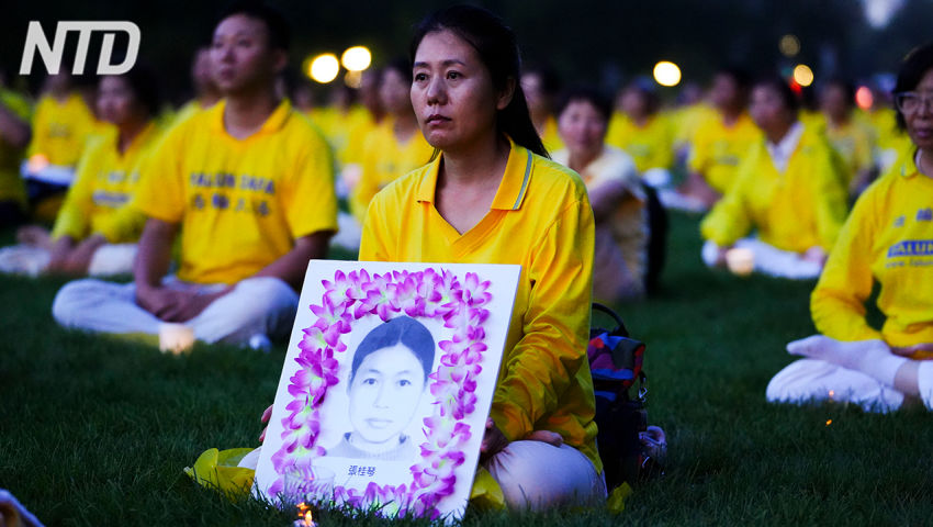 Falun Gong, analisi del più grande movimento di disobbedienza civile della Cina - PeerTube.it