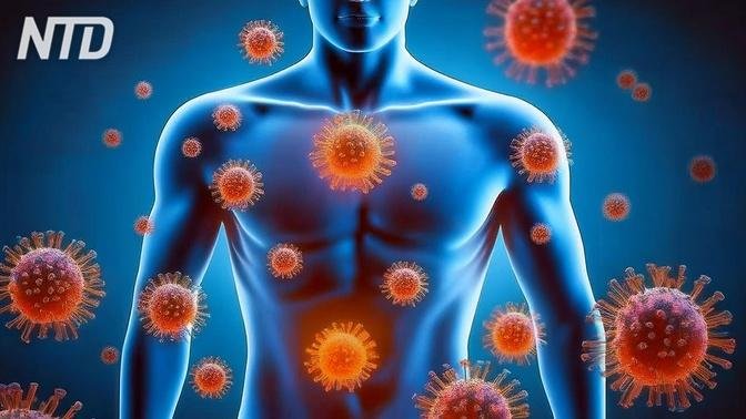 Dr. Jason Fung: il cancro è come un virus, lo si combatte col sistema immunitario | Video | NTD Italia | Gan Jing World - Tecnologia per l'umanità | Video e film in streaming